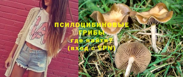 индика Кинешма