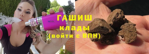 индика Кинешма