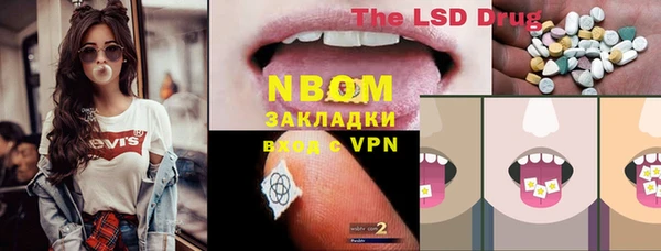 индика Кинешма