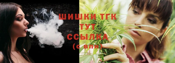 индика Кинешма