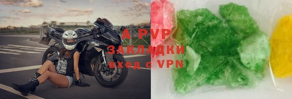 индика Кинешма