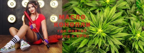 индика Кинешма