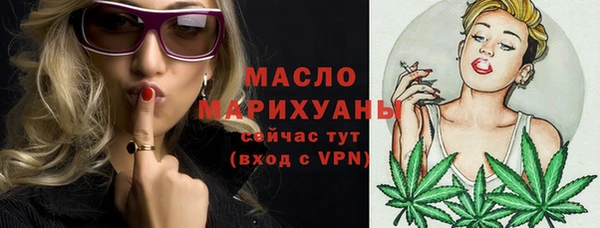 индика Кинешма