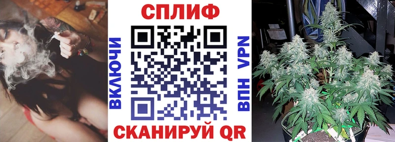 Купить где  Островной  Канабис сатива 